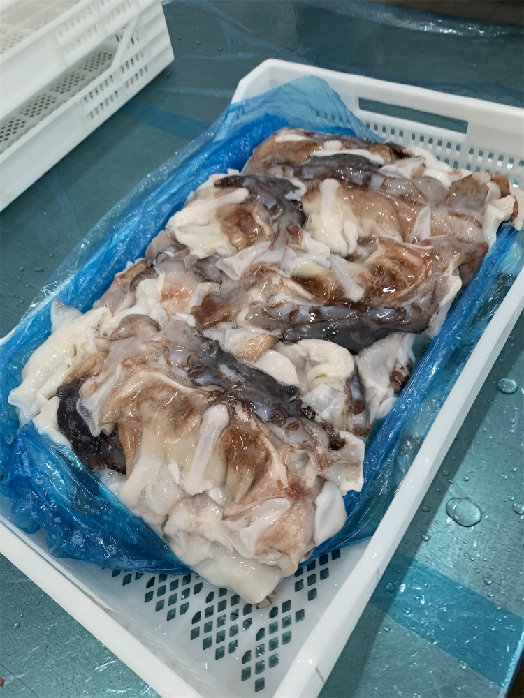 魷魚脖 FROZEN GIANT SQUID NECK