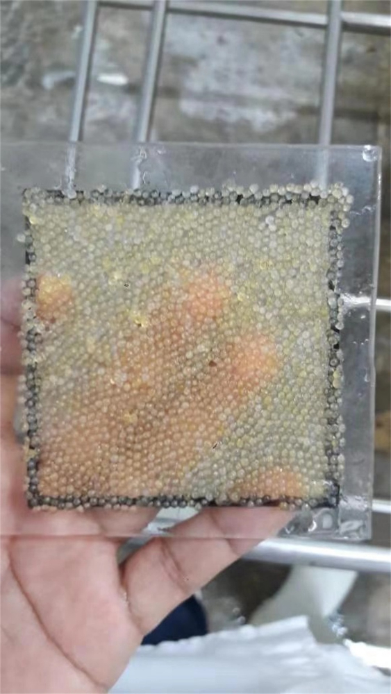 飛魚籽 FLYING FISH ROE