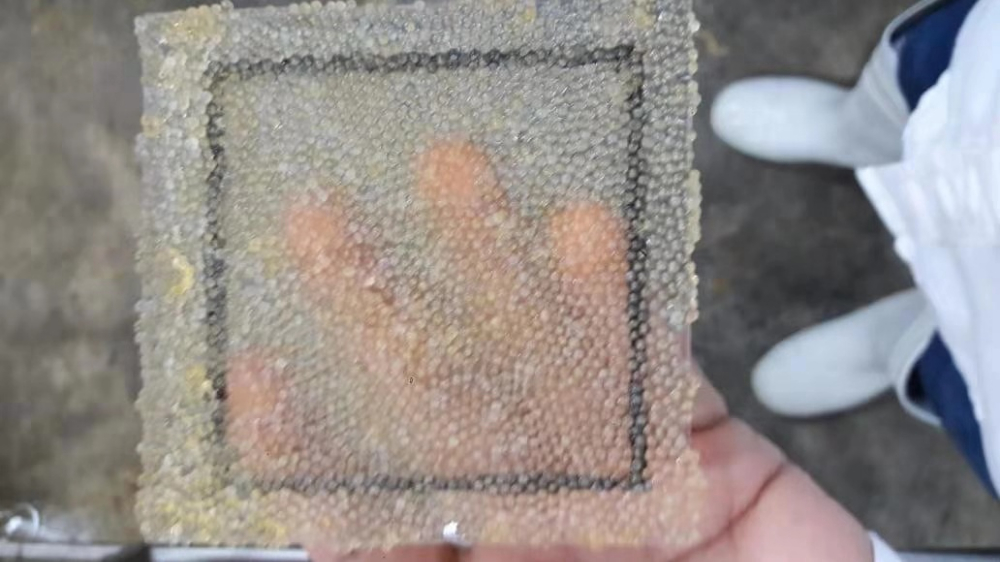 飛魚籽 FLYING FISH ROE