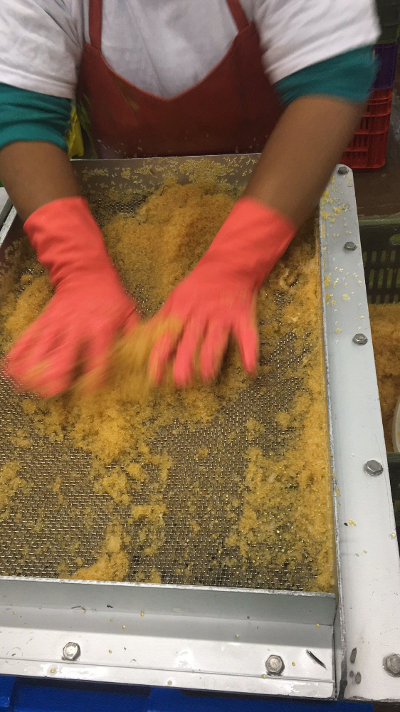 飛魚籽 FLYING FISH ROE