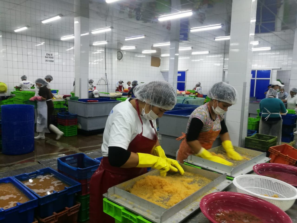 飛魚籽 FLYING FISH ROE