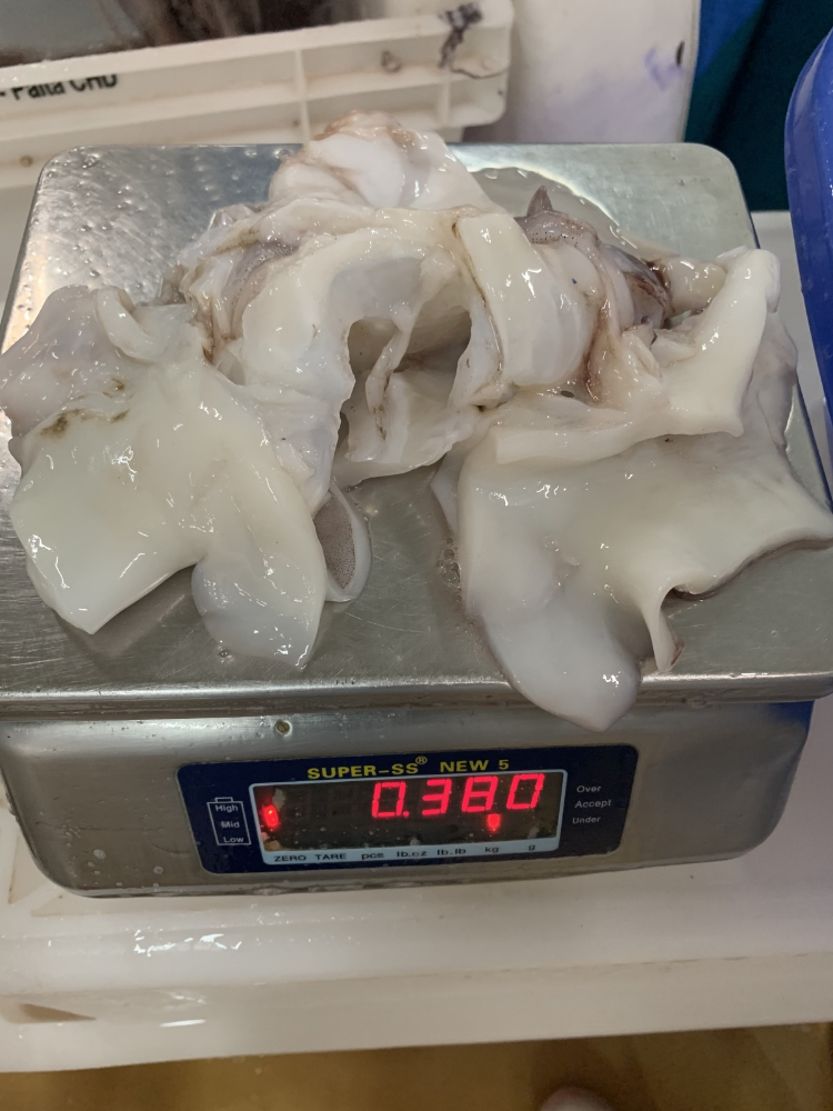 魷魚脖 FROZEN GIANT SQUID NECK