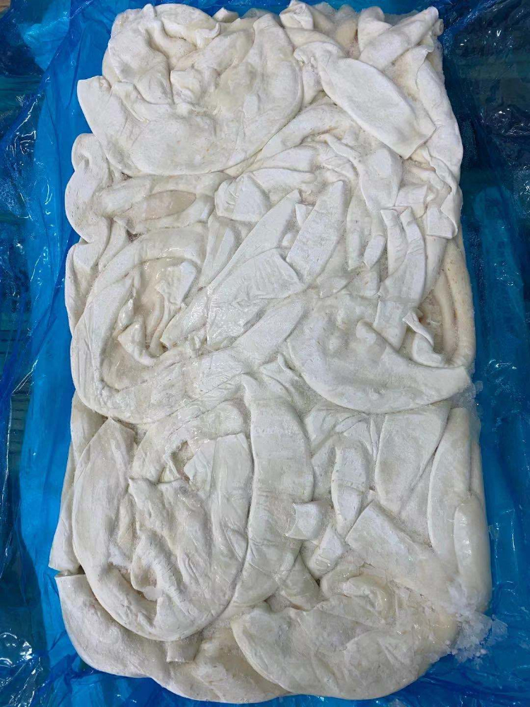 煙臺進(jìn)口秘魯魷魚 (3).jpg